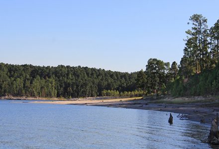lake with sandy shore to right with thicket of pine trees in background